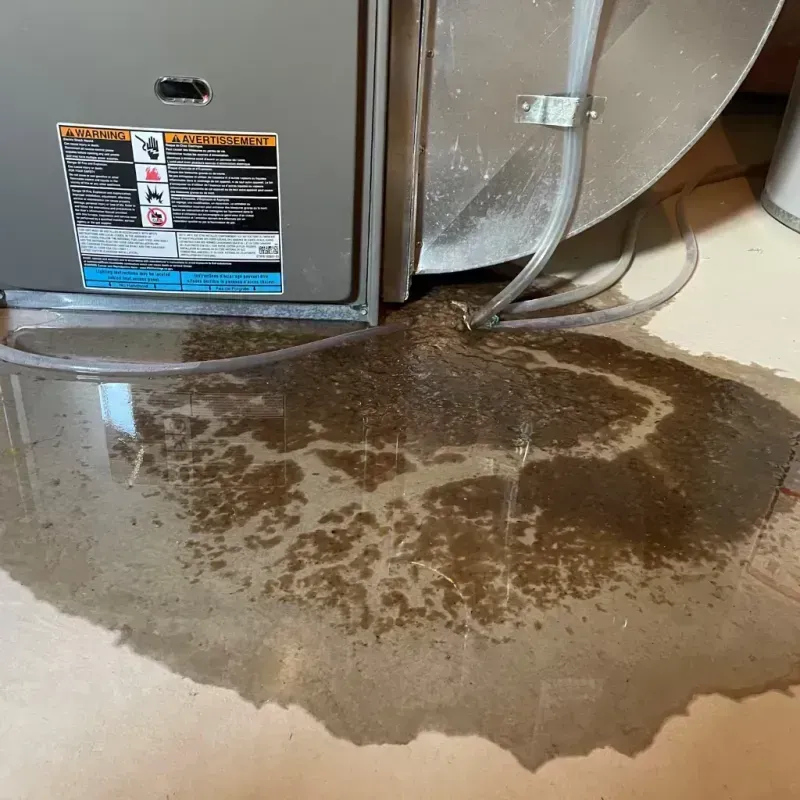 Appliance Leak Cleanup in Hinsdale, NH